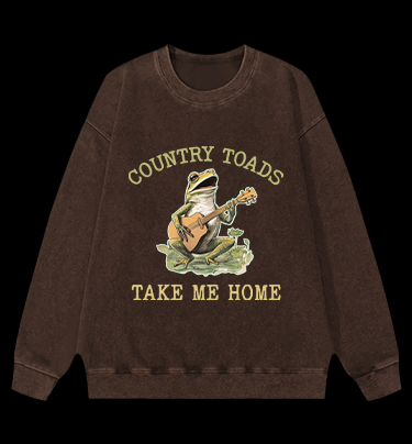 Guitar Frog Roadtrip Vintage Washed 100% Cotton Sweatshirt