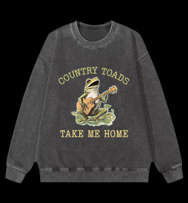 Guitar Frog Roadtrip Vintage Washed 100% Cotton Sweatshirt