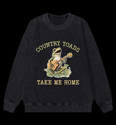 Guitar Frog Roadtrip Vintage Washed 100% Cotton Sweatshirt