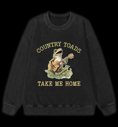 Guitar Frog Roadtrip Vintage Washed 100% Cotton Sweatshirt