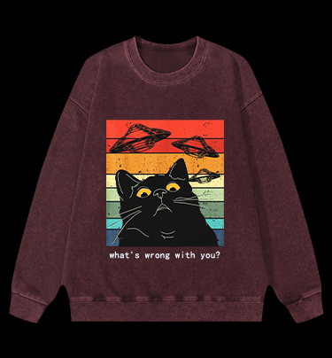 Whimsical Cat - UFO Vintage Washed 100% Cotton Sweatshirt