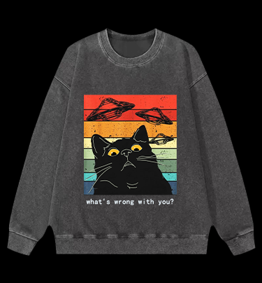 Whimsical Cat - UFO Vintage Washed 100% Cotton Sweatshirt