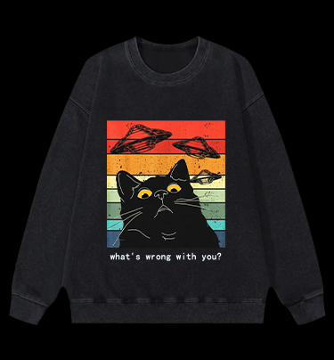 Whimsical Cat - UFO Vintage Washed 100% Cotton Sweatshirt