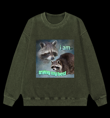 Raccoon Tried His Best Vintage Washed 100% Cotton Sweatshirt