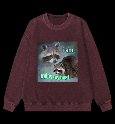 Raccoon Tried His Best Vintage Washed 100% Cotton Sweatshirt