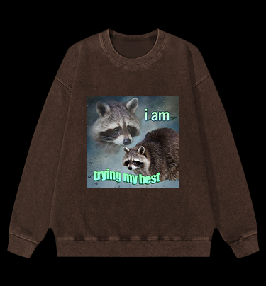 Raccoon Tried His Best Vintage Washed 100% Cotton Sweatshirt