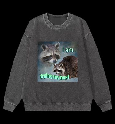 Raccoon Tried His Best Vintage Washed 100% Cotton Sweatshirt