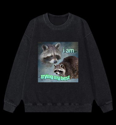 Raccoon Tried His Best Vintage Washed 100% Cotton Sweatshirt