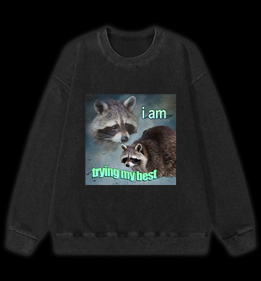 Raccoon Tried His Best Vintage Washed 100% Cotton Sweatshirt