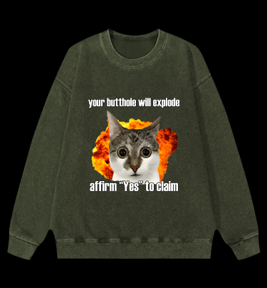 Boom Cat Vintage Washed 100% Cotton Sweatshirt