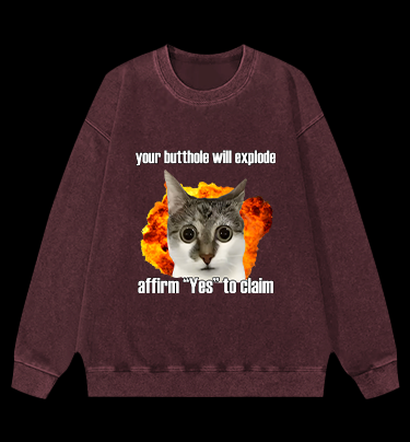 Boom Cat Vintage Washed 100% Cotton Sweatshirt