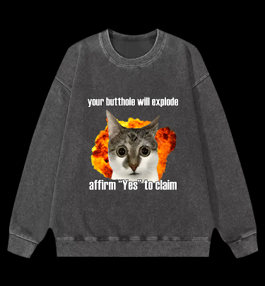 Boom Cat Vintage Washed 100% Cotton Sweatshirt