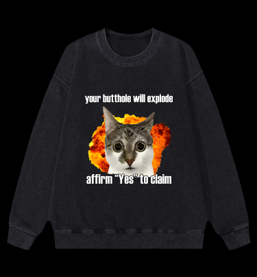 Boom Cat Vintage Washed 100% Cotton Sweatshirt