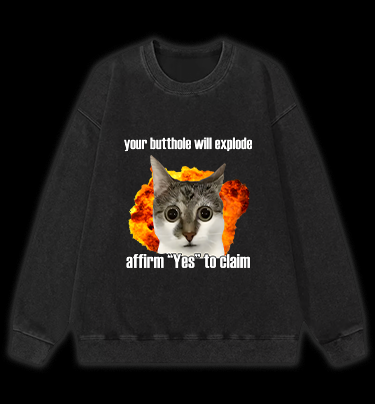 Boom Cat Vintage Washed 100% Cotton Sweatshirt