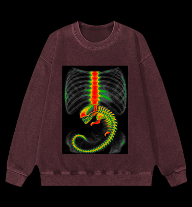 Xenomorph  Monster Vintage Washed 100% Cotton Sweatshirt