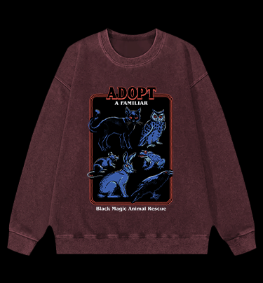 Witchy Familiar Animal Vintage Washed 100% Cotton Sweatshirt