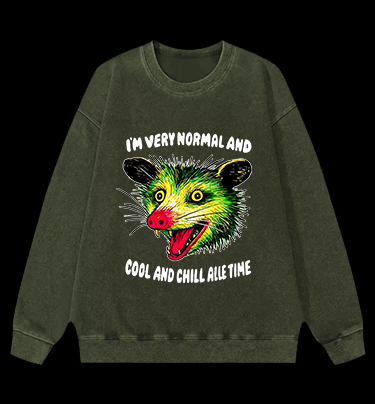 The Normal Mouse Vintage Washed 100% Cotton Sweatshirt