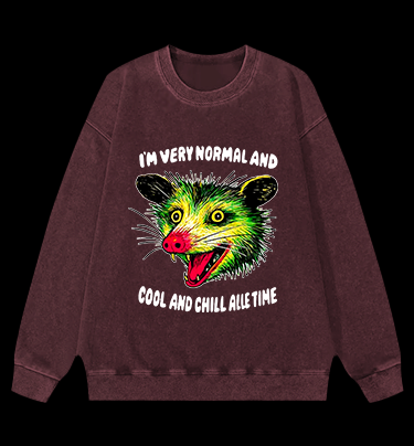 The Normal Mouse Vintage Washed 100% Cotton Sweatshirt