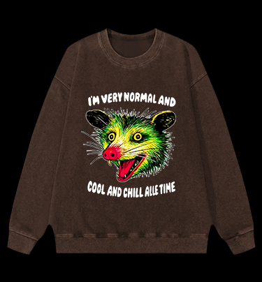 The Normal Mouse Vintage Washed 100% Cotton Sweatshirt