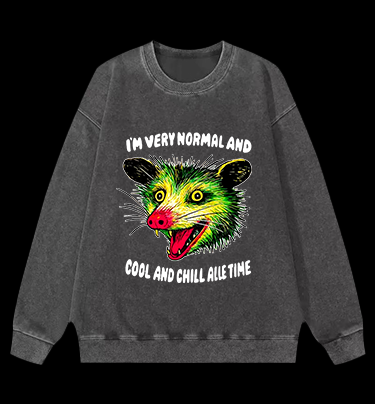 The Normal Mouse Vintage Washed 100% Cotton Sweatshirt