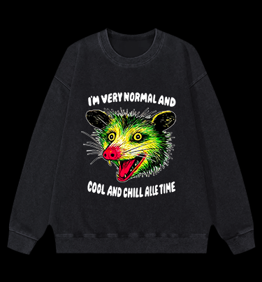 The Normal Mouse Vintage Washed 100% Cotton Sweatshirt