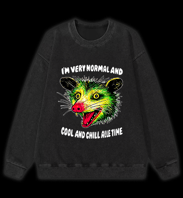 The Normal Mouse Vintage Washed 100% Cotton Sweatshirt