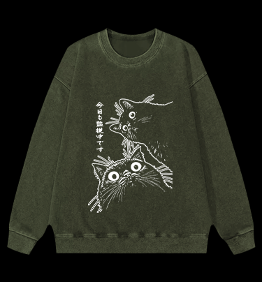 Cat Observers Vintage Washed 100% Cotton Sweatshirt