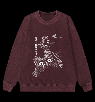 Cat Observers Vintage Washed 100% Cotton Sweatshirt
