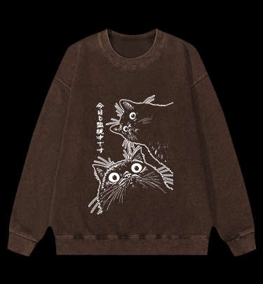Cat Observers Vintage Washed 100% Cotton Sweatshirt
