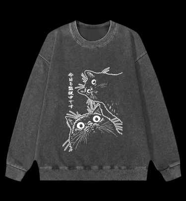 Cat Observers Vintage Washed 100% Cotton Sweatshirt