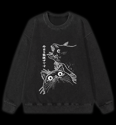 Cat Observers Vintage Washed 100% Cotton Sweatshirt