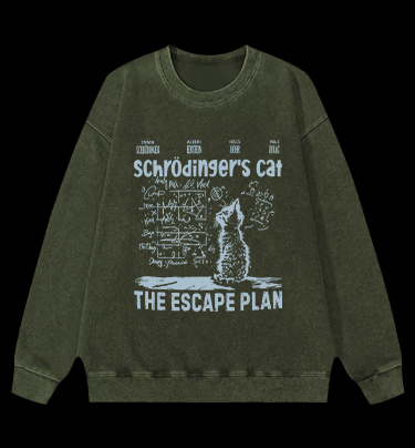 Schrödinger's Cat Vintage Washed 100% Cotton Sweatshirt