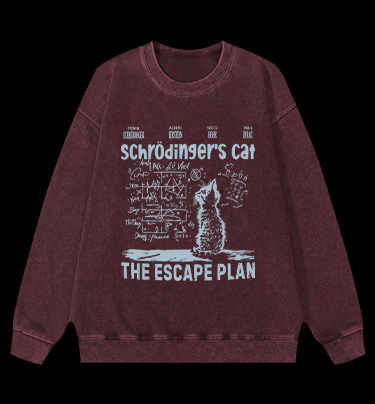 Schrödinger's Cat Vintage Washed 100% Cotton Sweatshirt