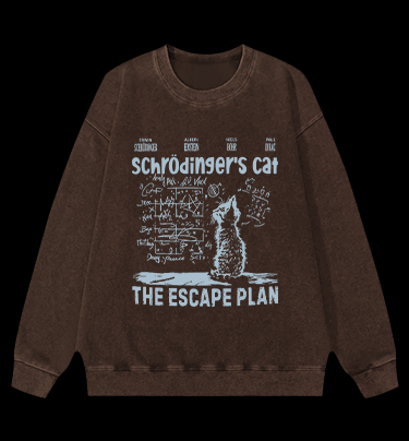 Schrödinger's Cat Vintage Washed 100% Cotton Sweatshirt