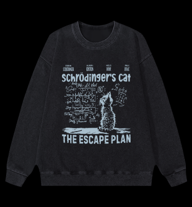 Schrödinger's Cat Vintage Washed 100% Cotton Sweatshirt