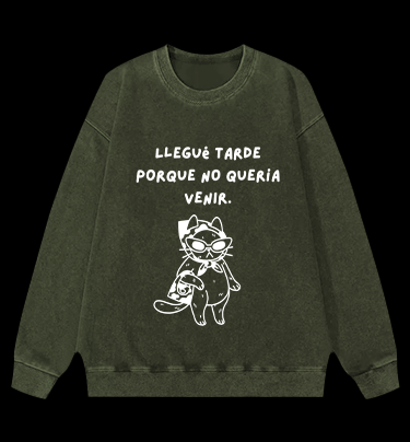 Hidden Light Traces Bear Vintage Washed 100% Cotton Sweatshirt