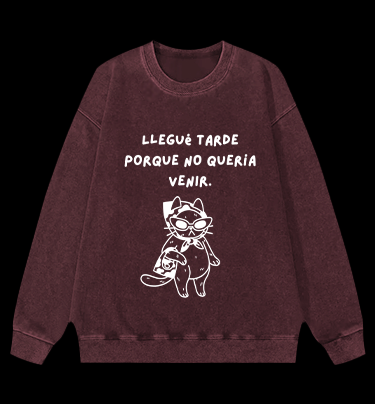 Hidden Light Traces Bear Vintage Washed 100% Cotton Sweatshirt