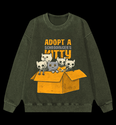Schrödinger's Cat Vintage Washed 100% Cotton Sweatshirt