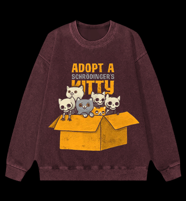 Schrödinger's Cat Vintage Washed 100% Cotton Sweatshirt