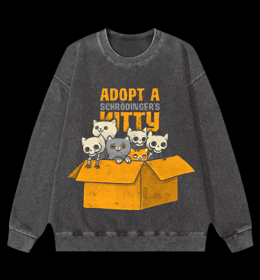 Schrödinger's Cat Vintage Washed 100% Cotton Sweatshirt