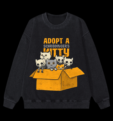 Schrödinger's Cat Vintage Washed 100% Cotton Sweatshirt