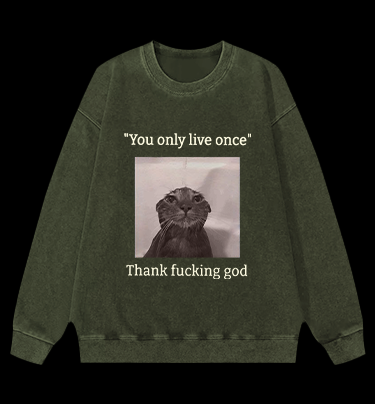 Funny Melancholy Cat Vintage Washed 100% Cotton Sweatshirt