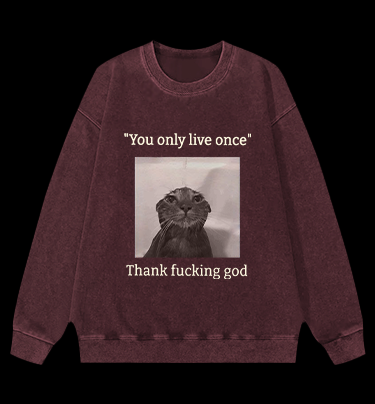 Funny Melancholy Cat Vintage Washed 100% Cotton Sweatshirt