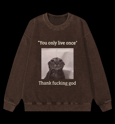 Funny Melancholy Cat Vintage Washed 100% Cotton Sweatshirt