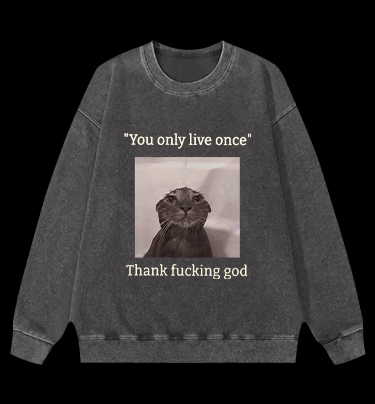 Funny Melancholy Cat Vintage Washed 100% Cotton Sweatshirt