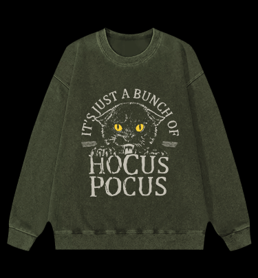 Hocus Pocus Cat Vintage Washed 100% Cotton Sweatshirt