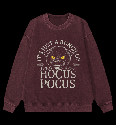 Hocus Pocus Cat Vintage Washed 100% Cotton Sweatshirt