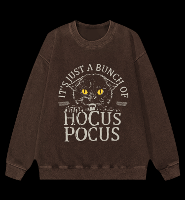 Hocus Pocus Cat Vintage Washed 100% Cotton Sweatshirt