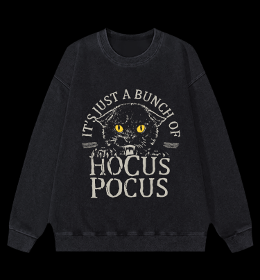 Hocus Pocus Cat Vintage Washed 100% Cotton Sweatshirt