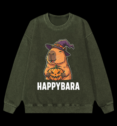 A Meowster Vintage Washed 100% Cotton Sweatshirt